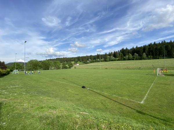 Allianz Suisse Stadium terrain annexe - Tramelan