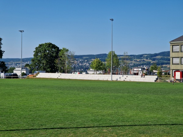 Sportplatz Allmend - Horgen