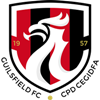 Wappen Guilsfield FC