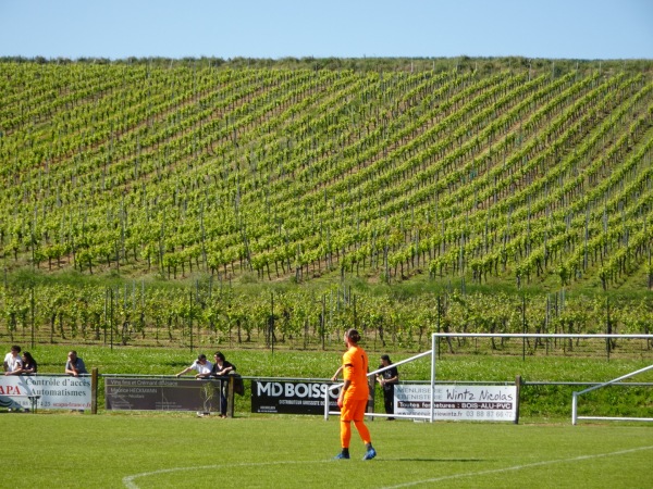 Stade Vincent Sattler - Dahlenheim