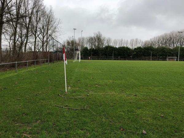 Sportpark De Bongerd veld 2 - Barendrecht