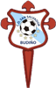 Wappen CD San Salvador de Budiño