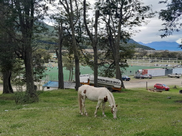 Gigante del Fin del Mundo - Ushuaia