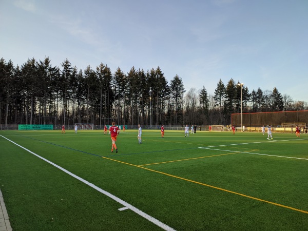 Waldeckstadion Nebenplatz 1 - Reute/Breisgau