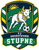 Wappen TJ Družstevník Stupné