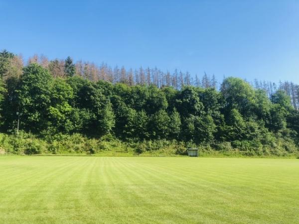 Rote-Sportplatz - Schlangen-Kohlstädt