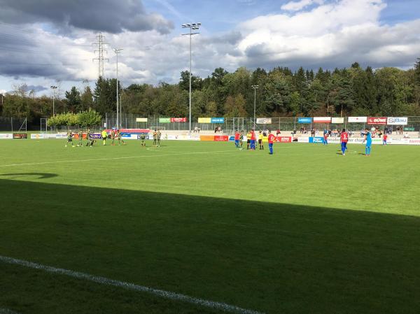 Sportplatz Eizmoos - Cham
