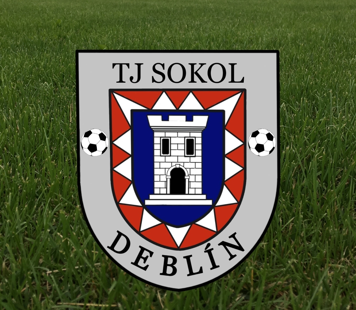 Wappen TJ Sokol Deblín