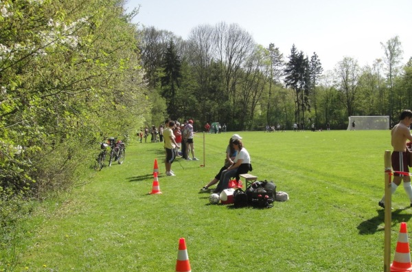 Sportplatz Schillerschule - Reutlingen-Orschel-Hagen