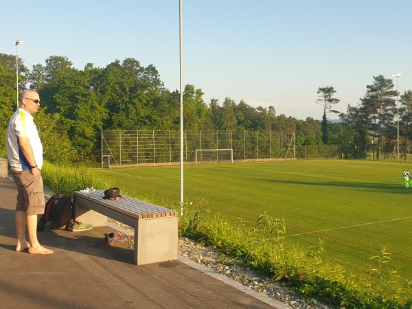 Stadion Langriet Nebenplatz - Neuhausen am Rheinfall