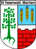 Wappen SV Tresenwald Machern 1998 diverse  41248