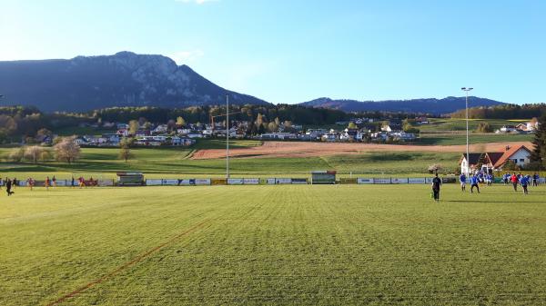 Sportplatz Wyler - Riedholz