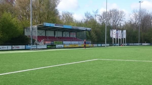 Sportpark De Warren - Tytsjerksteradiel