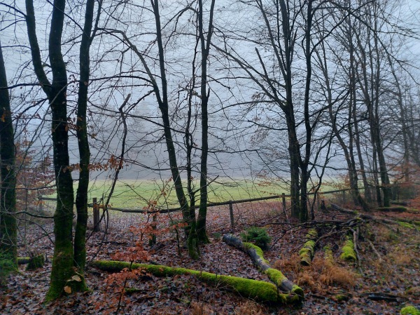 Waldsportplatz Kirchseeon - Kirchseeon