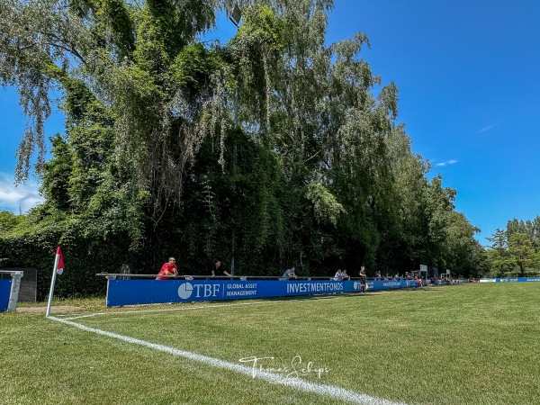 Sportanlage an den Talwiesen Fußballplatz 1 - Rielasingen-Worblingen