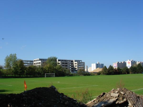 Alter Zustand: Rasen