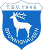 Wappen TSV Brünnighausen 1946  43065