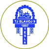 Wappen ehemals TJ Slavoj Hloubětín  105495