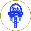 Wappen ehemals TJ Slavoj Hloubětín