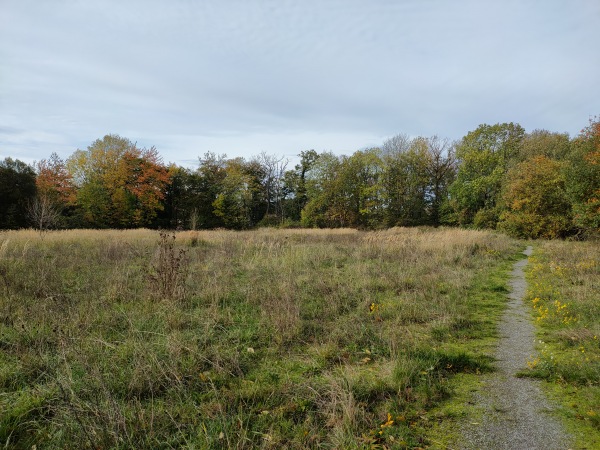 Sportplatz am Perick - Hemer