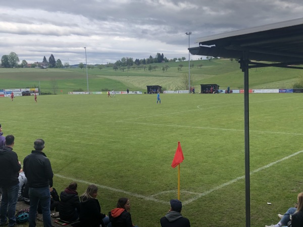 Hardstadion - Freiamt/Schwarzwald-Ottoschwanden