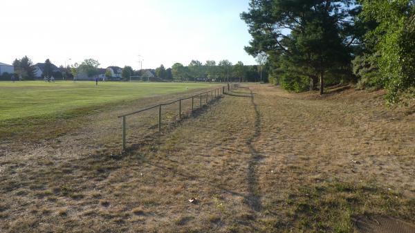 Sportplatz Tauer - Tauer