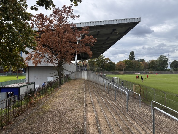 Seppl-Herberger-Stadion am Alsenweg - Mannheim-Waldhof