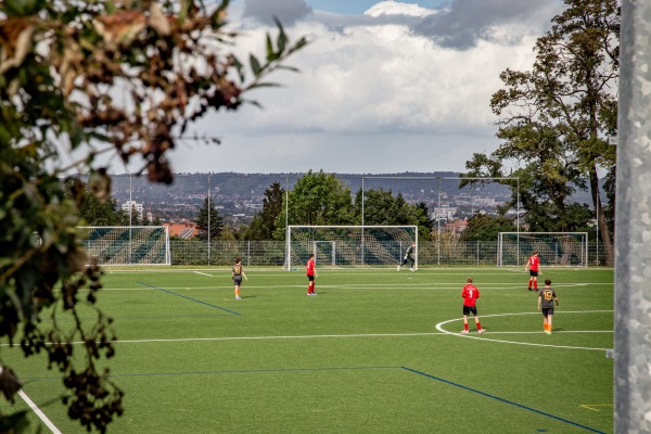 Sportplatz Am Dölzschgraben - Dresden-Dölzschen