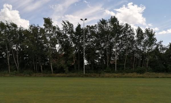 Sportplatz Kreuzkamp B - Haren/Ems-Wesuwe