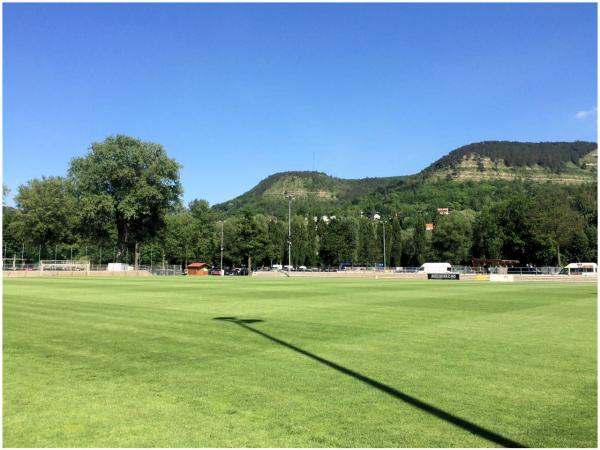 Ernst-Abbe-Sportfeld Platz 3 - Jena