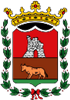 Wappen UD Navarres