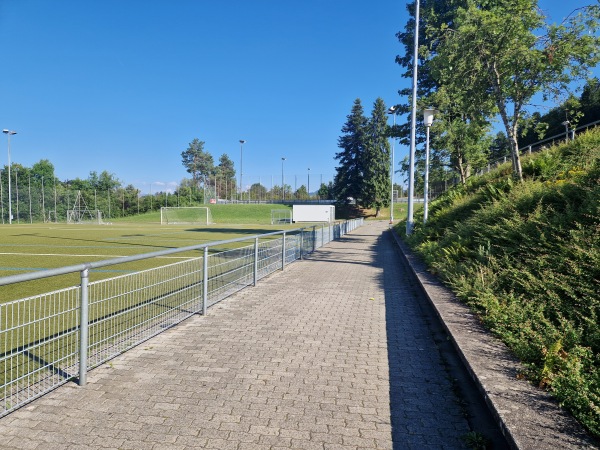 Sportanlage Waldegg Platz D - Horgen