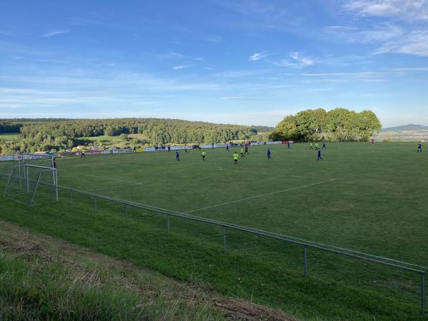 Sportplatz im Hart - Riedlingen-Pflummern