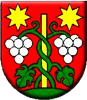 Wappen TJ Nová Vieska