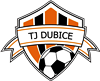 Wappen TJ Dubice  101042