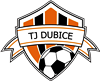 Wappen TJ Dubice