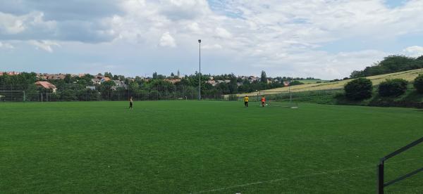 Sportanlage Rottenbauer Platz 2 - Würzburg-Rottenbauer