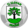 Wappen TJ Slovan Hrašné