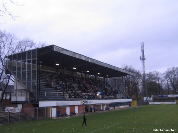 Gemeentelijk Parkstadion - Boom