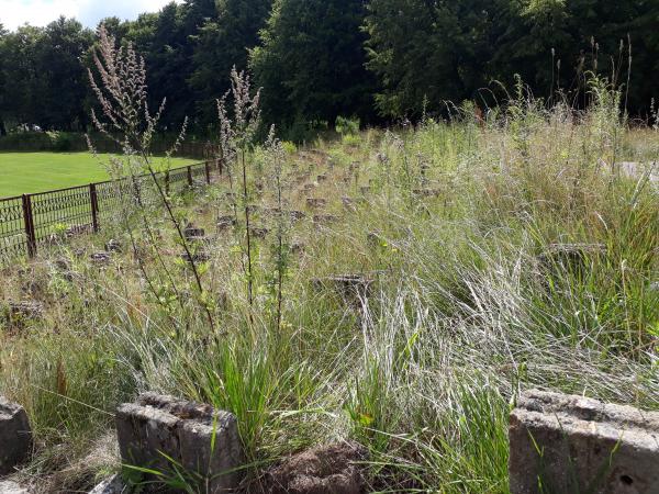 Stadion 1 lipca 1953 - Olsztyn