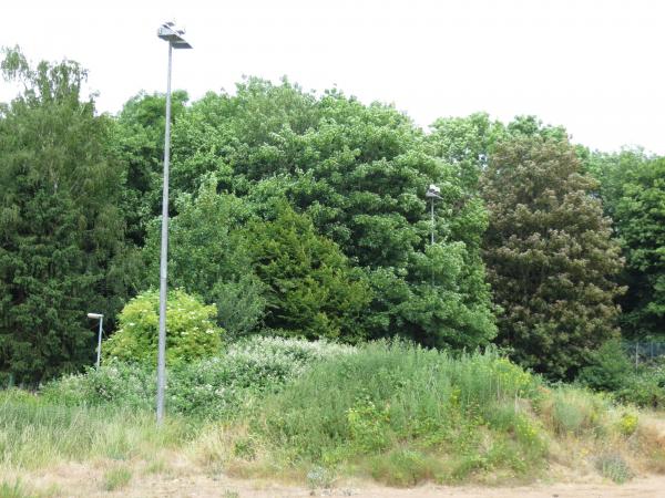 Sportplatz am Pützbach - Bedburg