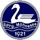 Wappen SpVg. Möhnesee 1921  24864