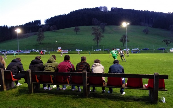 Sportplatz Ertl - Ertl