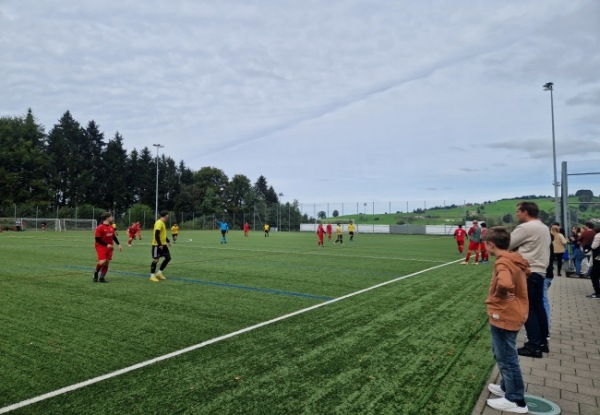 Sportplatz Löösch Platz 2 - Adligenswil