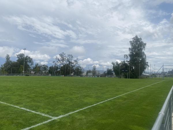 Sportanlage Buchlern Platz 10 - Zürich