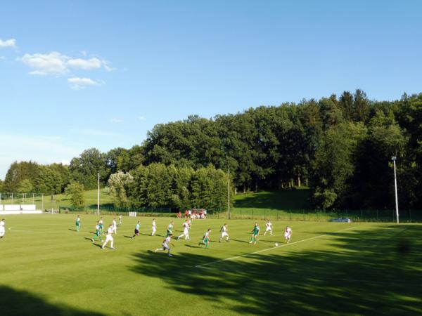 Sportgelände Urspringer Weg Platz 2 - Gebenbach
