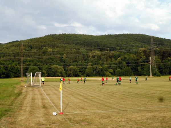 Sportplatz Rodachwiesen - Kronach-Neuses