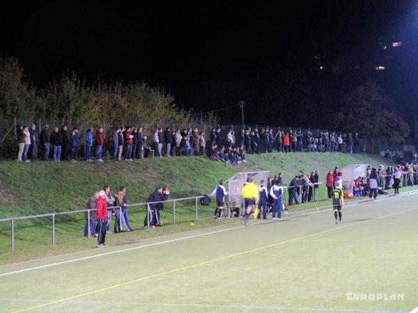 Ehrmann-Sportzentrum Platz 2 - Tübingen