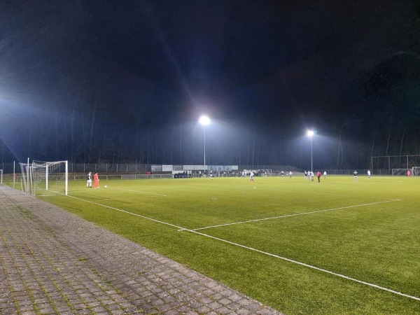 Waldstadion Nebenplatz - Erlenbach/Main