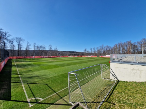 Voith-Arena Rasen-West Platz 2 - Heidenheim/Brenz